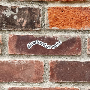dismissed as woke sticker on brick wall