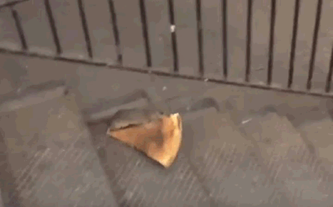 rat carrying slice of pizza down NYC subway steps