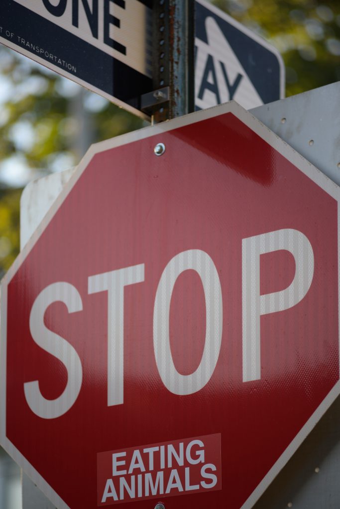 Red stop sign that has text underneath reading "eating animals"